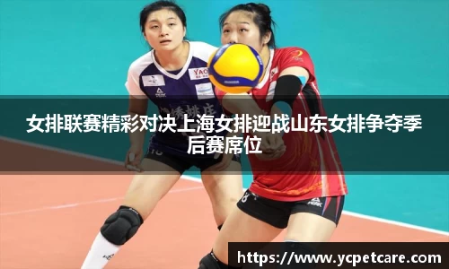 女排联赛精彩对决上海女排迎战山东女排争夺季后赛席位