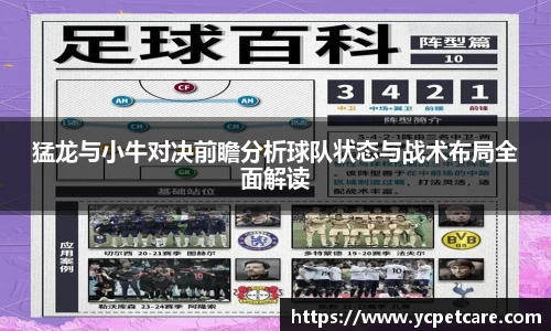 猛龙与小牛对决前瞻分析球队状态与战术布局全面解读