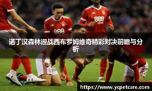 诺丁汉森林迎战西布罗姆维奇精彩对决前瞻与分析
