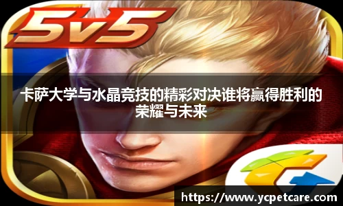 卡萨大学与水晶竞技的精彩对决谁将赢得胜利的荣耀与未来