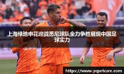 贝博bb艾弗森官网