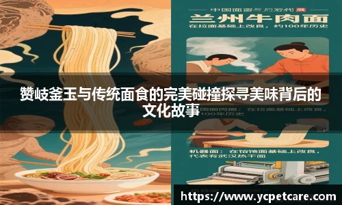 赞岐釜玉与传统面食的完美碰撞探寻美味背后的文化故事