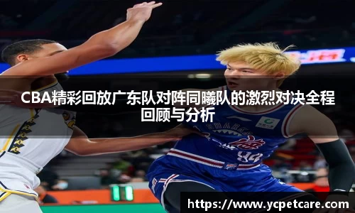 bb贝博艾弗森官方网站