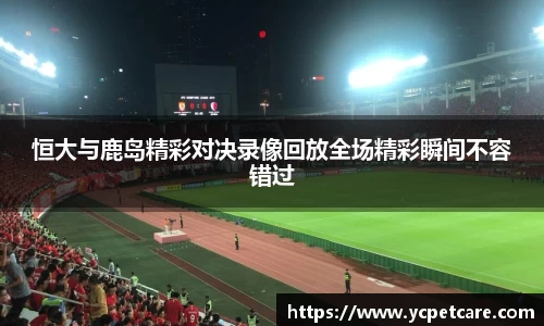 贝博bb艾弗森官网