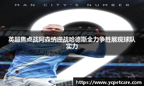 英超焦点战阿森纳迎战哈德斯全力争胜展现球队实力