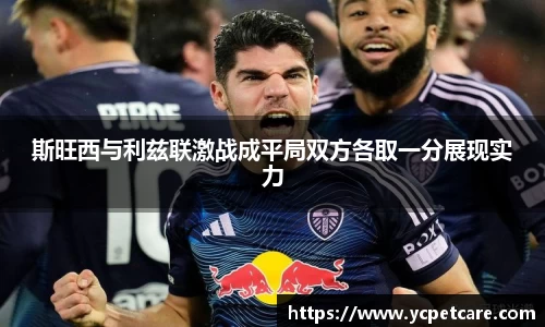 斯旺西与利兹联激战成平局双方各取一分展现实力