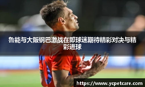 鲁能与大阪钢巴激战在即球迷期待精彩对决与精彩进球