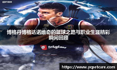 博格丹博格达诺维奇的篮球之路与职业生涯精彩瞬间回顾
