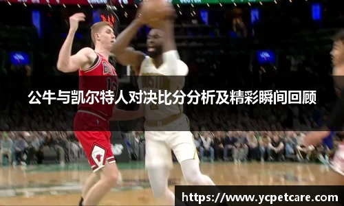 公牛与凯尔特人对决比分分析及精彩瞬间回顾