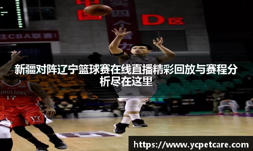 新疆对阵辽宁篮球赛在线直播精彩回放与赛程分析尽在这里