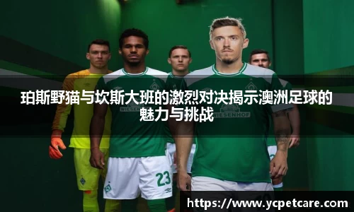 珀斯野猫与坎斯大班的激烈对决揭示澳洲足球的魅力与挑战